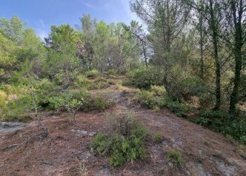 Rustico Via Case Gina 1, Ventimiglia - foto 3