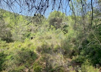 Rustico Via Case Gina 1, Ventimiglia - foto 4