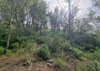 Rustico Via Case Gina 1, Ventimiglia - foto 6