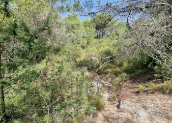 Rustico Via Case Gina 1, Ventimiglia - foto 8