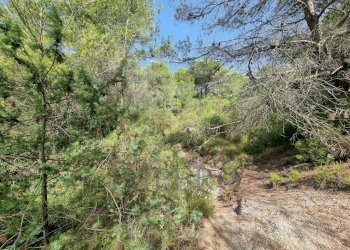 Rustico Via Case Gina 1, Ventimiglia - foto 9