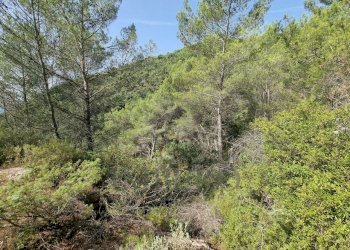 Rustico Via Case Gina 1, Ventimiglia - foto 10