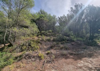 Rustico Via Case Gina 1, Ventimiglia - foto 12