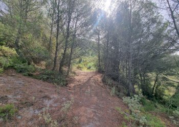 Rustico Via Case Gina 1, Ventimiglia - foto 14