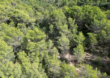 drone - Rustico Via Case Gina 1, Ventimiglia - foto 15