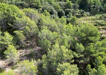 drone1 - Rustico Via Case Gina 1, Ventimiglia - foto 16