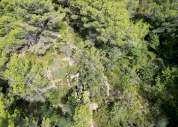 drone3 - Rustico Via Case Gina 1, Ventimiglia - foto 19