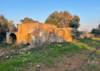 5.jpg - Terreno agricolo Contrada San Nicola 21, Carovigno - foto 5