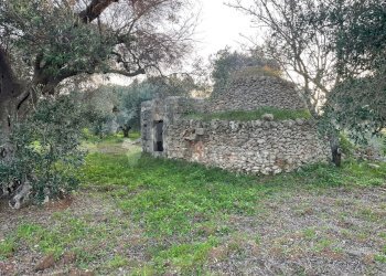 8.jpg - Terreno agricolo Contrada San Nicola 21, Carovigno - foto 8