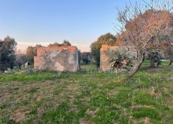 13.jpg - Terreno agricolo Contrada San Nicola 21, Carovigno - foto 13