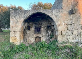 14.jpg - Terreno agricolo Contrada San Nicola 21, Carovigno - foto 14