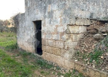 15.jpg - Terreno agricolo Contrada San Nicola 21, Carovigno - foto 15