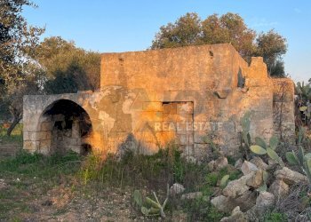 16.jpg - Terreno agricolo Contrada San Nicola 21, Carovigno - foto 16