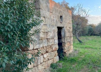 17.jpg - Terreno agricolo Contrada San Nicola 21, Carovigno - foto 17