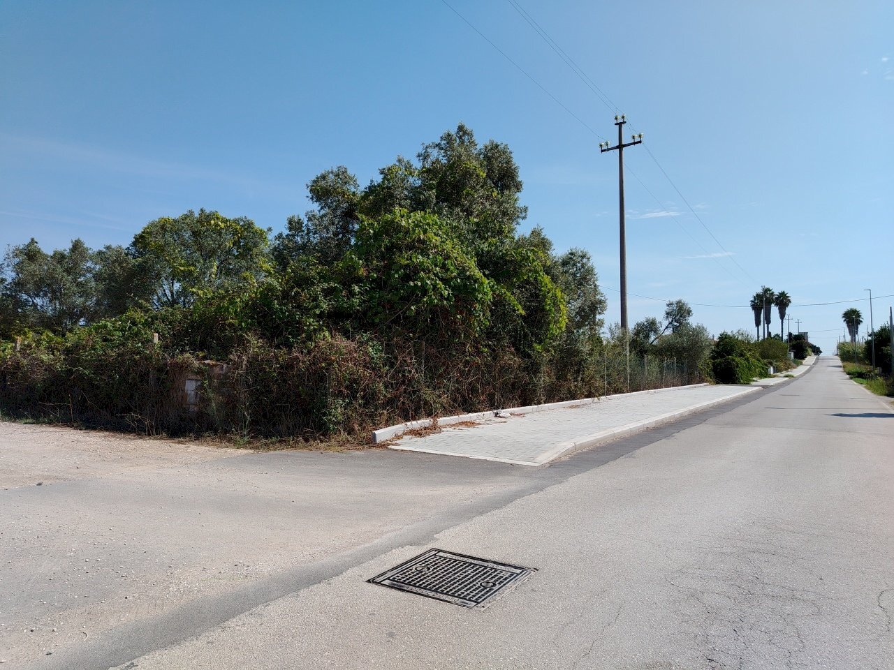 IMG_20240828_113947.jpg - Building land Via Stradone del Sandalo 47, Anzio - photo 2