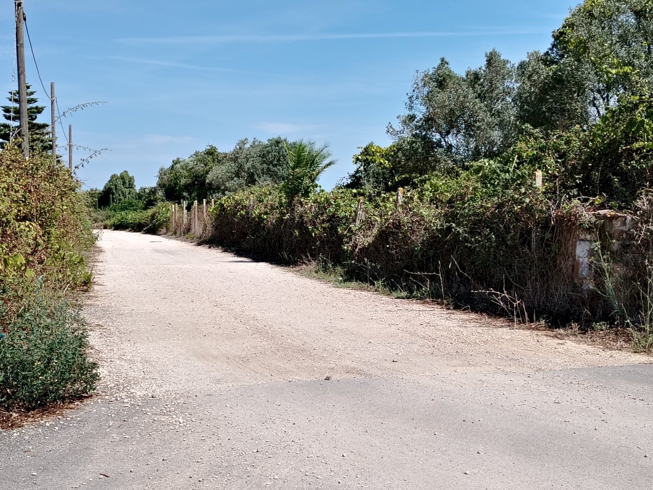 IMG_20240828_114001.jpg - Building land Via Stradone del Sandalo 47, Anzio - photo 3