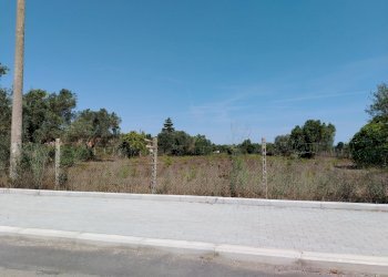 IMG_20240828_114212.jpg - Terreno edificabile Via Stradone del Sandalo 47, Anzio - foto 1