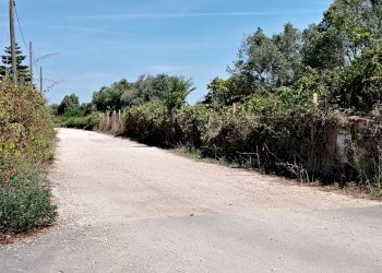 IMG_20240828_114001.jpg - Terreno edificabile Via Stradone del Sandalo 47, Anzio - foto 3