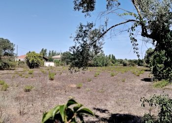 IMG_20240828_114042.jpg - Terreno edificabile Via Stradone del Sandalo 47, Anzio - foto 6