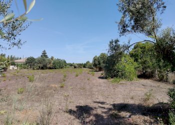 IMG_20240828_114111.jpg - Terreno edificabile Via Stradone del Sandalo 47, Anzio - foto 7