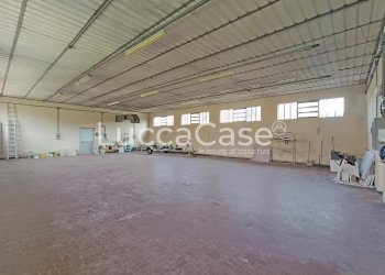 Shed Capannori - photo 5
