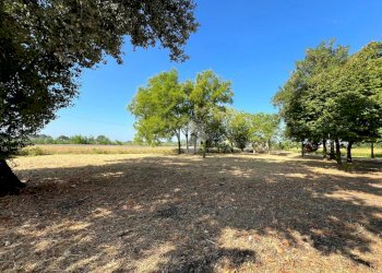 Independent house Via per Concordia, Mirandola - photo 45