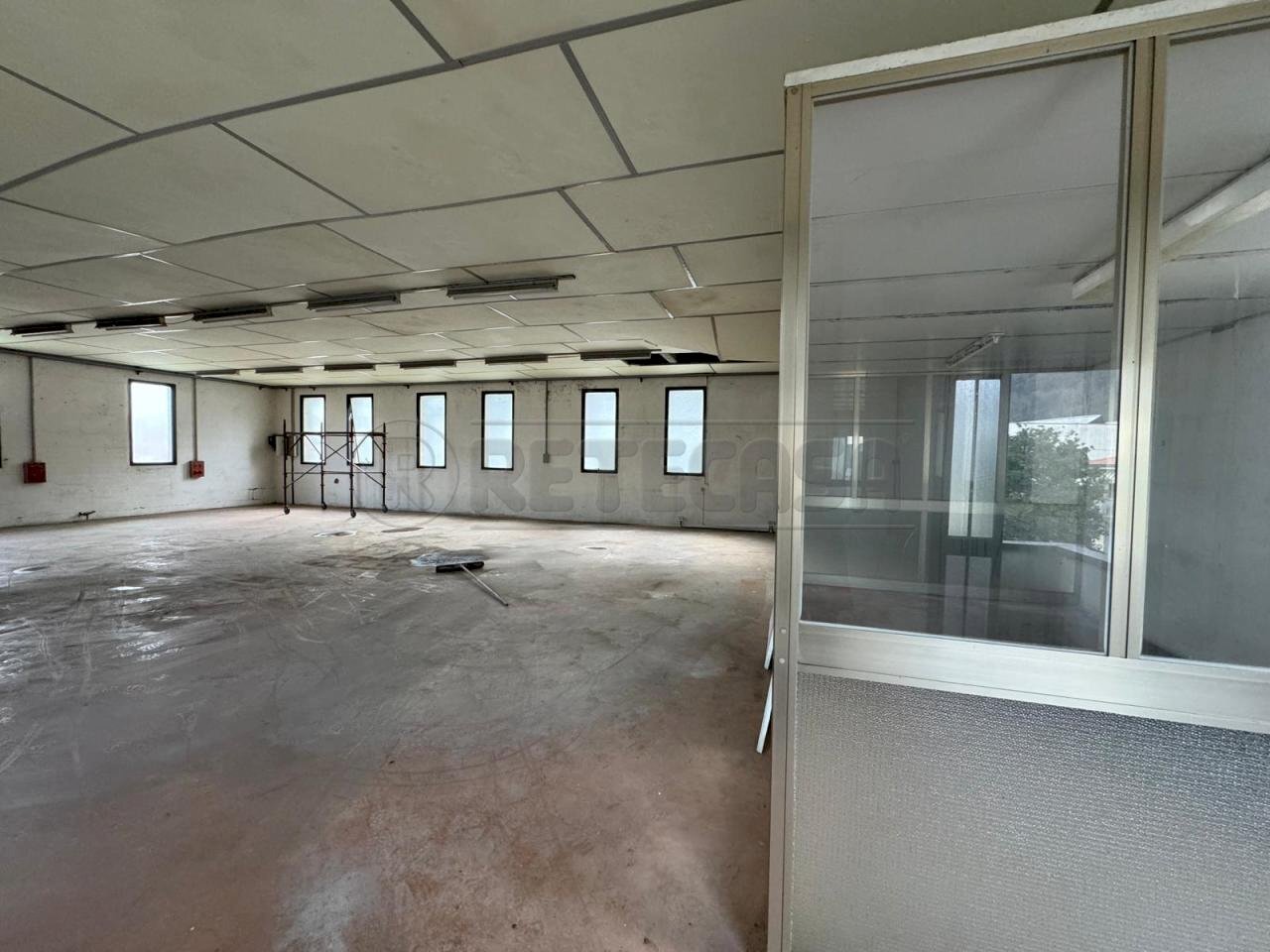 WhatsApp Image 2024-05-02 at 09.29.34.jpeg - Laboratory Arcugnano - photo 2