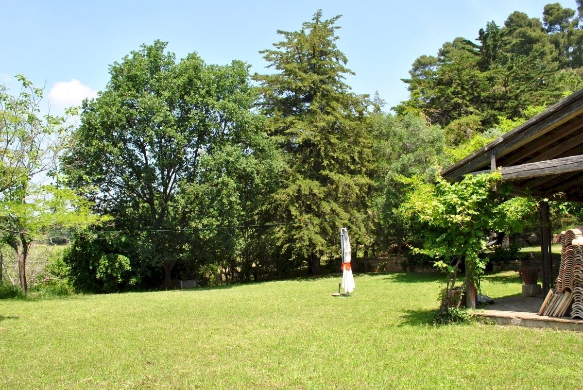 prato.jpg - Rustico Osimo, Osimo - foto 3