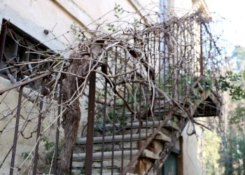 WhatsApp Image 2019-03-06 at 17.16.21.jpeg - Rustico Osimo, Osimo - foto 6