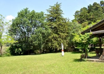 prato.jpg - Rustico Osimo, Osimo - foto 19