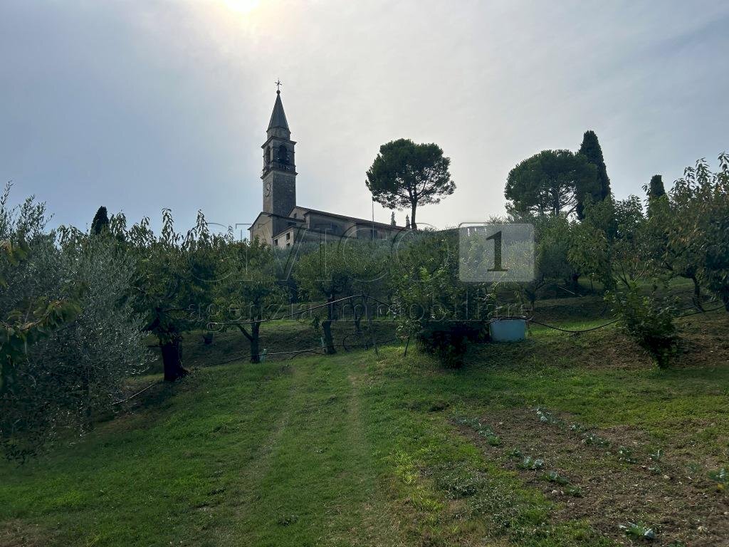 Esterni (28).JPG - Terreno agricolo Via Calcare, Castegnero - foto 3