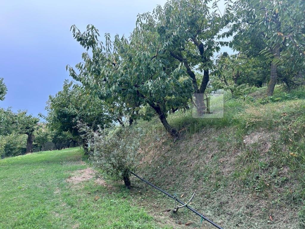 Esterni (33).JPG - Terreno agricolo Via Calcare, Castegnero - foto 2