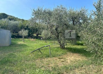 Esterni (23).JPG - Terreno agricolo Via Calcare, Castegnero - foto 14