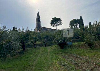 Esterni (28).JPG - Terreno agricolo Via Calcare, Castegnero - foto 3
