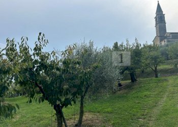 Esterni (29).JPG - Terreno agricolo Via Calcare, Castegnero - foto 4