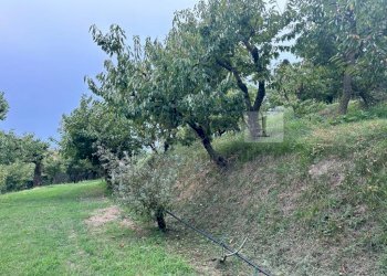 Esterni (33).JPG - Terreno agricolo Via Calcare, Castegnero - foto 2