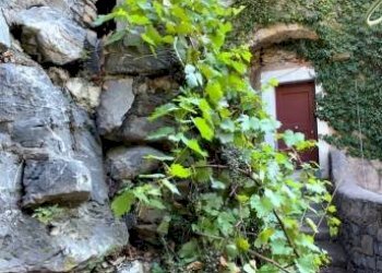 Trilocale Castelbianco - foto 5