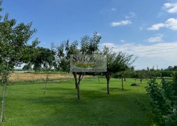 Rustic Macello - photo 43