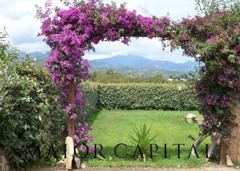 Villa Unifamiliare Via Apollo, Budoni - foto 20