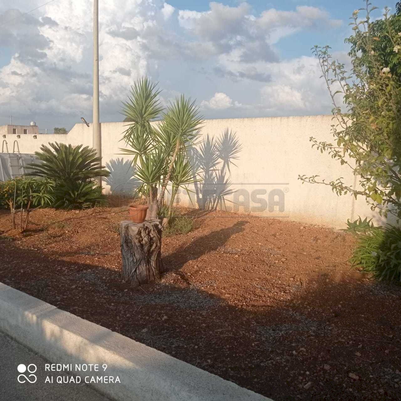 Immagine WhatsApp 2024-08-30 ore 11.26.39_f0d17778 - Villa Mazara del Vallo - foto 2