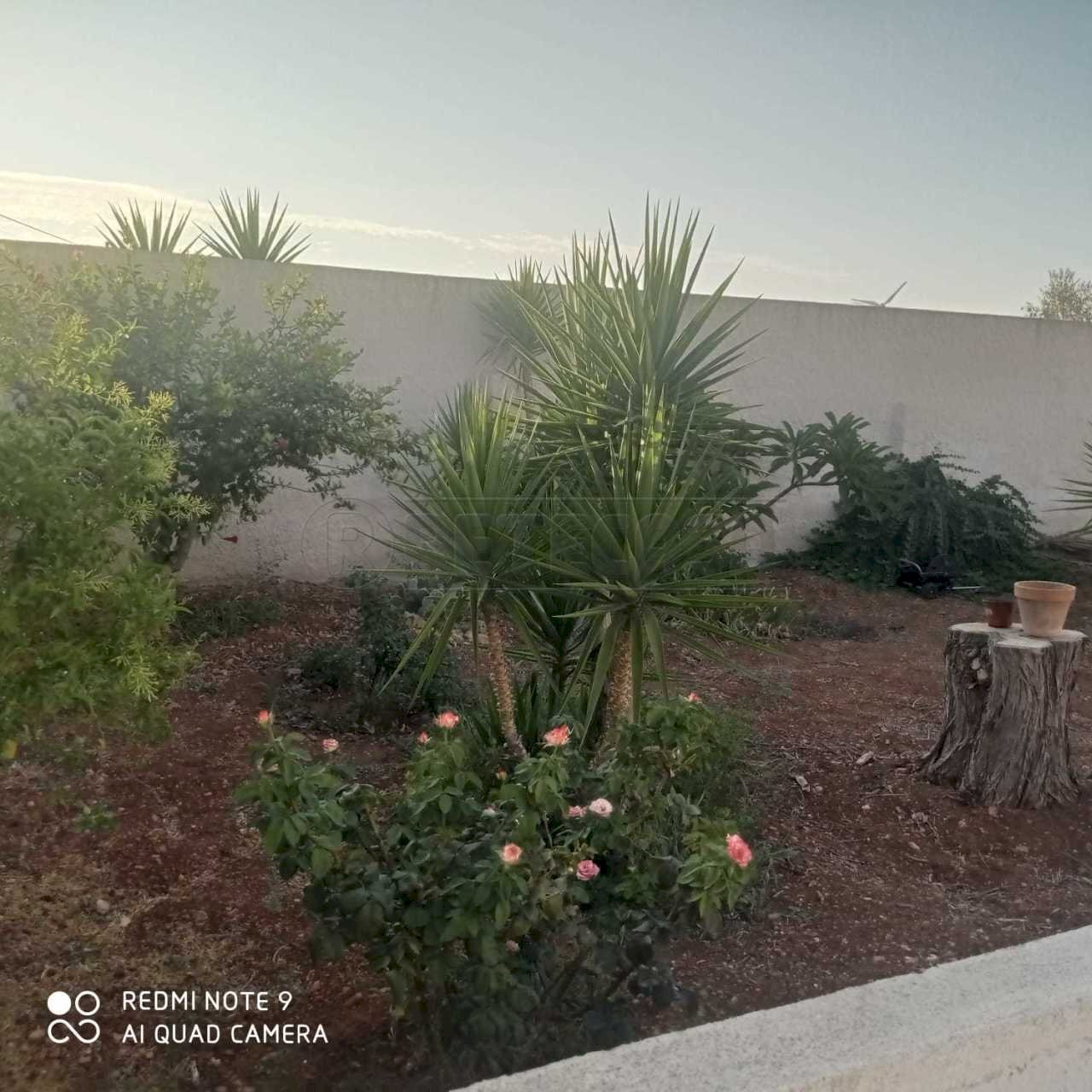 Immagine WhatsApp 2024-08-30 ore 11.26.40_36f75e80 - Villa Mazara del Vallo - foto 3