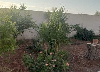 Immagine WhatsApp 2024-08-30 ore 11.26.40_36f75e80 - Villa Mazara del Vallo - foto 3