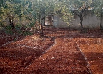 Immagine WhatsApp 2024-08-30 ore 11.26.41_5e7dac82 - Villa Mazara del Vallo - foto 4