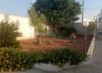 Immagine WhatsApp 2024-08-30 ore 11.26.41_6dccff53 - Villa Mazara del Vallo - foto 5