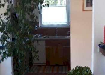 20200521_110654.jpg - Villa Ameglia - foto 5