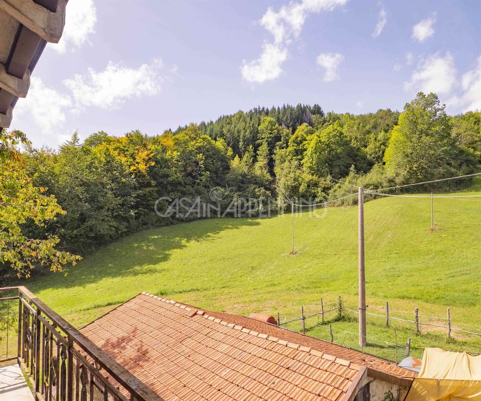 Four-room apartment Frassinoro - photo 3