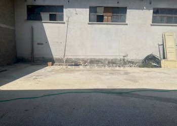 cef06ff9-505f-4a19-9e4a-48ad4e855de4.jpeg - Non Alimentare Viale Lucrezia della Valle, Catanzaro - foto 2