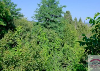 RIf 1618 (23).jpg - Terratetto - Terracielo Via Chiesa, 34, Sassello - foto 18