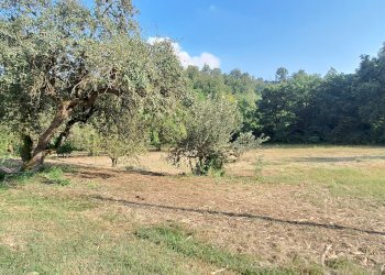 Casa indipendente Frazione Sessant, 312, frazione Sessant, Asti - foto 12