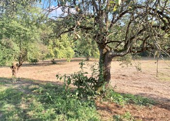 Casa indipendente Frazione Sessant, 312, frazione Sessant, Asti - foto 15